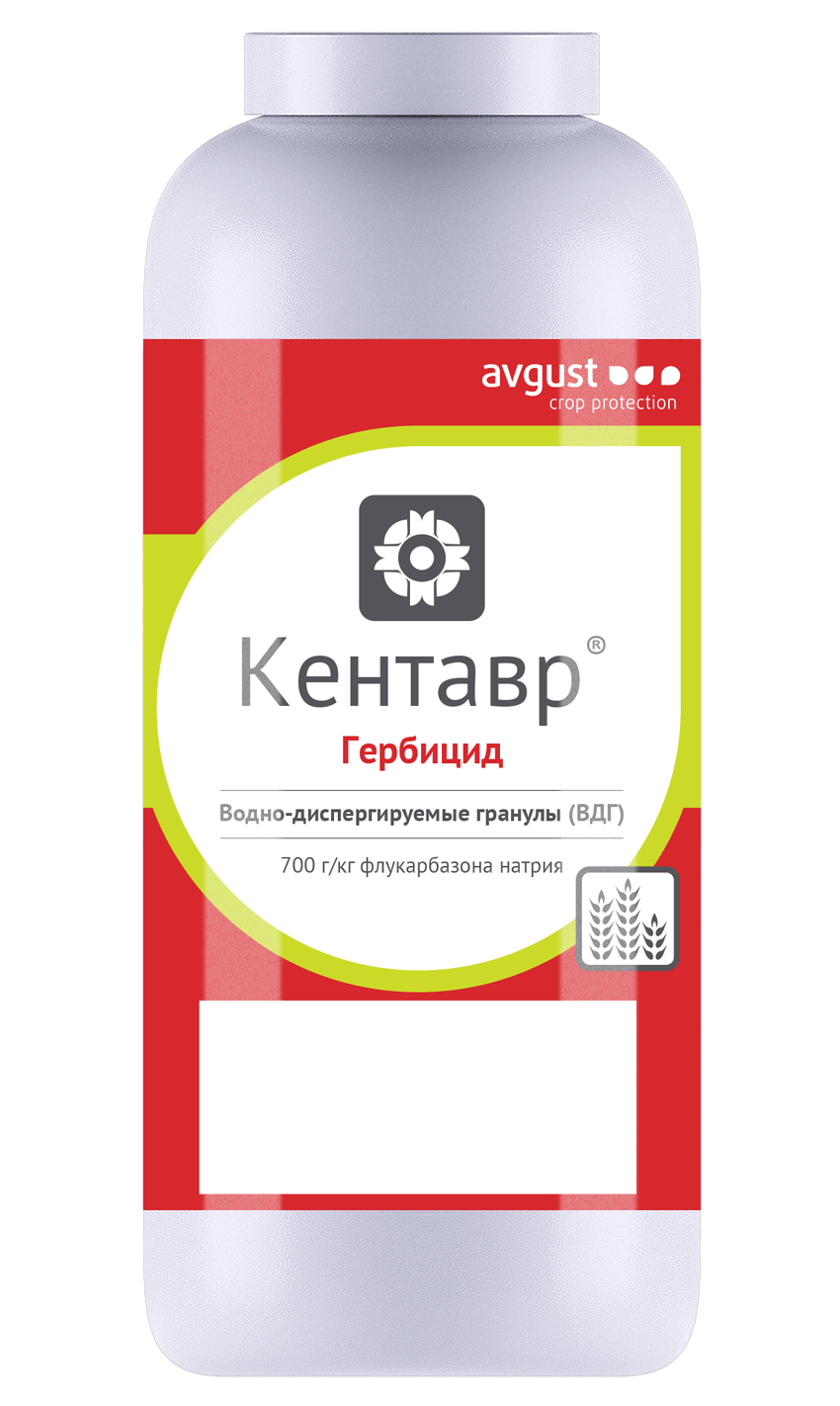 Кентавр 